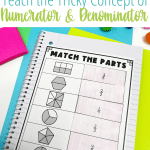 numerator and denominator match the fraction activity